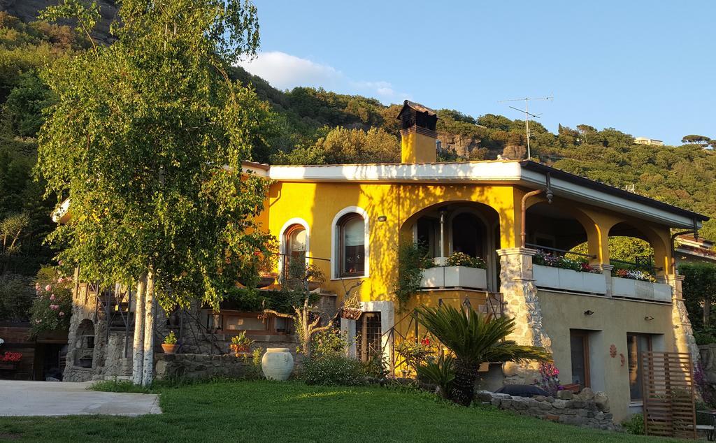 Il Nido Del Falco Castel Gandolfo Exterior foto